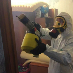 Уничтожение клопов в квартире. Саяногорск